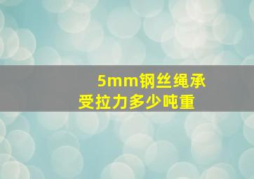 5mm钢丝绳承受拉力多少吨重