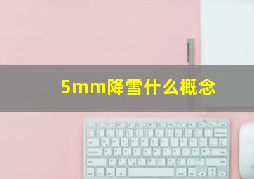 5mm降雪什么概念