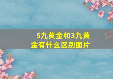 5九黄金和3九黄金有什么区别图片