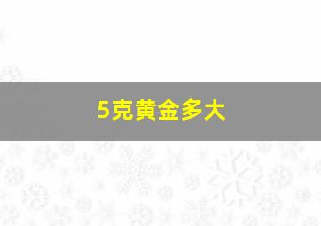 5克黄金多大