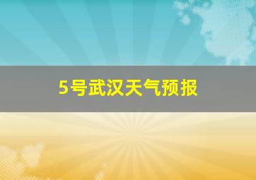 5号武汉天气预报