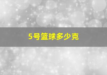 5号篮球多少克