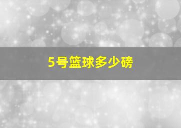 5号篮球多少磅