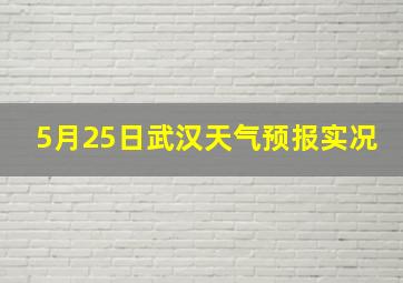 5月25日武汉天气预报实况