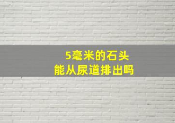 5毫米的石头能从尿道排出吗