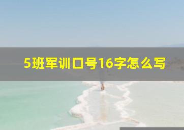 5班军训口号16字怎么写