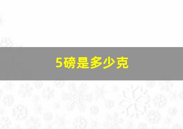 5磅是多少克