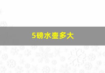 5磅水壶多大