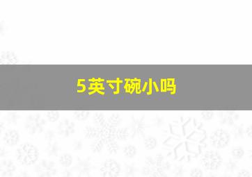 5英寸碗小吗