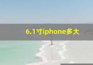 6.1寸iphone多大