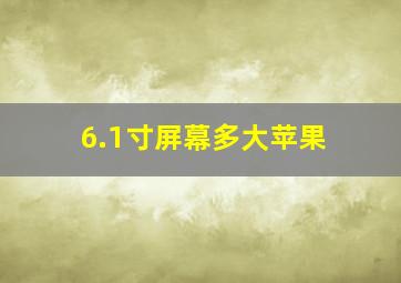 6.1寸屏幕多大苹果