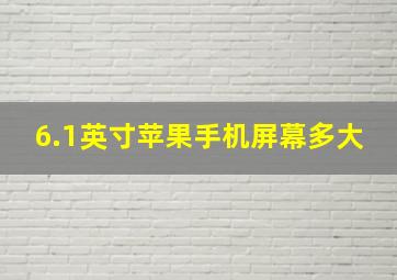 6.1英寸苹果手机屏幕多大