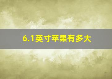 6.1英寸苹果有多大