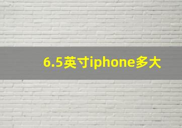 6.5英寸iphone多大