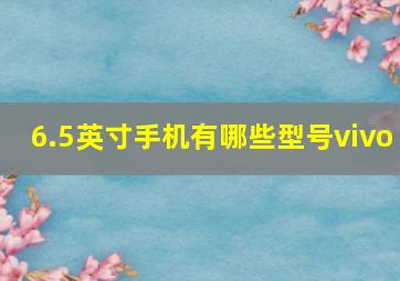 6.5英寸手机有哪些型号vivo