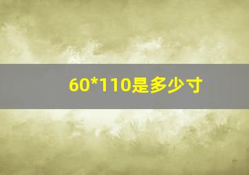 60*110是多少寸