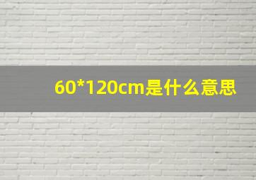 60*120cm是什么意思