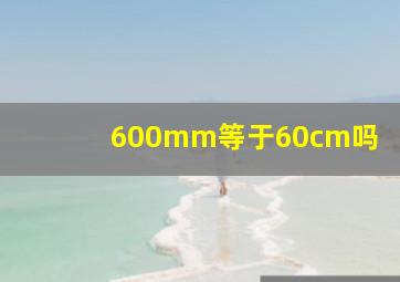 600mm等于60cm吗