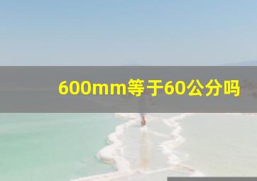 600mm等于60公分吗