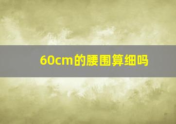 60cm的腰围算细吗