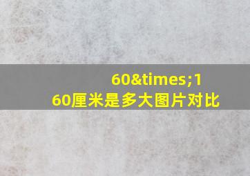 60×160厘米是多大图片对比