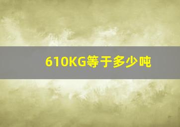 610KG等于多少吨