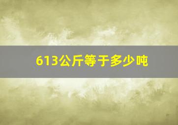 613公斤等于多少吨