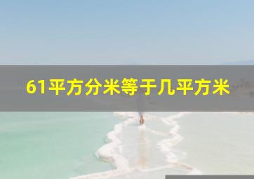 61平方分米等于几平方米