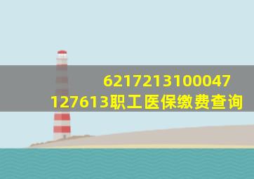 6217213100047127613职工医保缴费查询