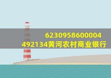 6230958600004492134黄河农村商业银行