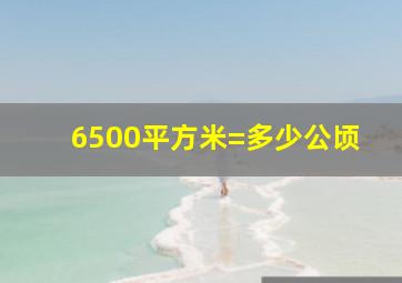 6500平方米=多少公顷