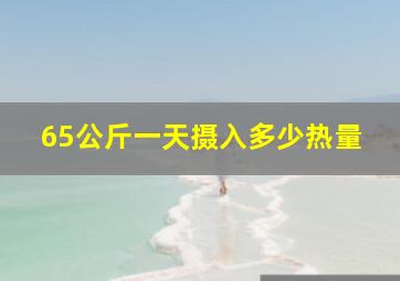 65公斤一天摄入多少热量