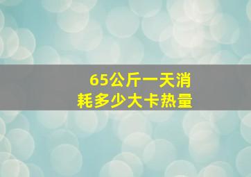 65公斤一天消耗多少大卡热量