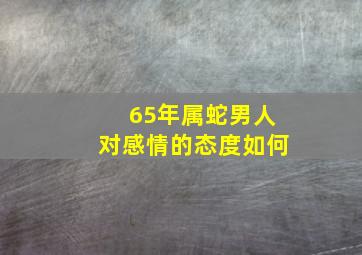 65年属蛇男人对感情的态度如何