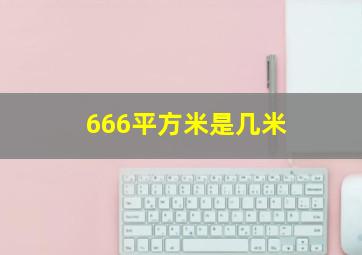 666平方米是几米