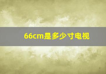 66cm是多少寸电视