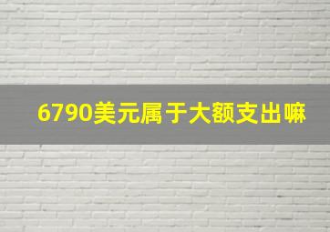 6790美元属于大额支出嘛