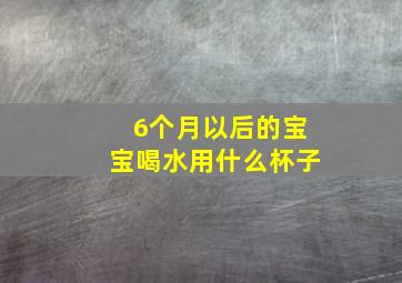 6个月以后的宝宝喝水用什么杯子