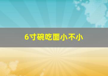 6寸碗吃面小不小