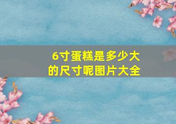 6寸蛋糕是多少大的尺寸呢图片大全