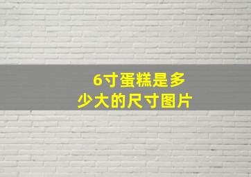 6寸蛋糕是多少大的尺寸图片