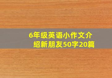 6年级英语小作文介绍新朋友50字20篇