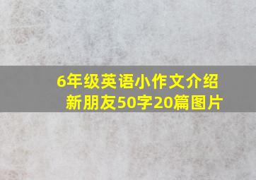 6年级英语小作文介绍新朋友50字20篇图片