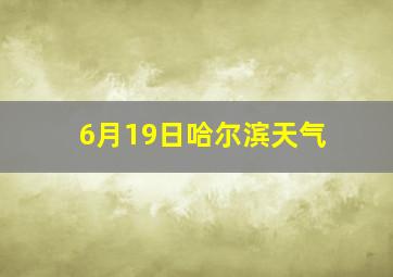 6月19日哈尔滨天气