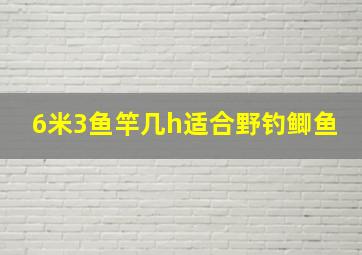 6米3鱼竿几h适合野钓鲫鱼