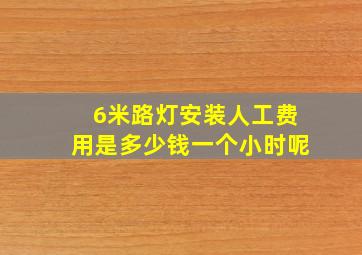 6米路灯安装人工费用是多少钱一个小时呢