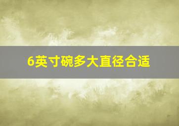 6英寸碗多大直径合适