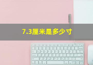 7.3厘米是多少寸