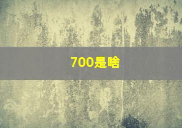 700是啥