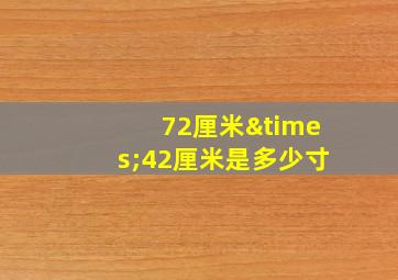 72厘米×42厘米是多少寸